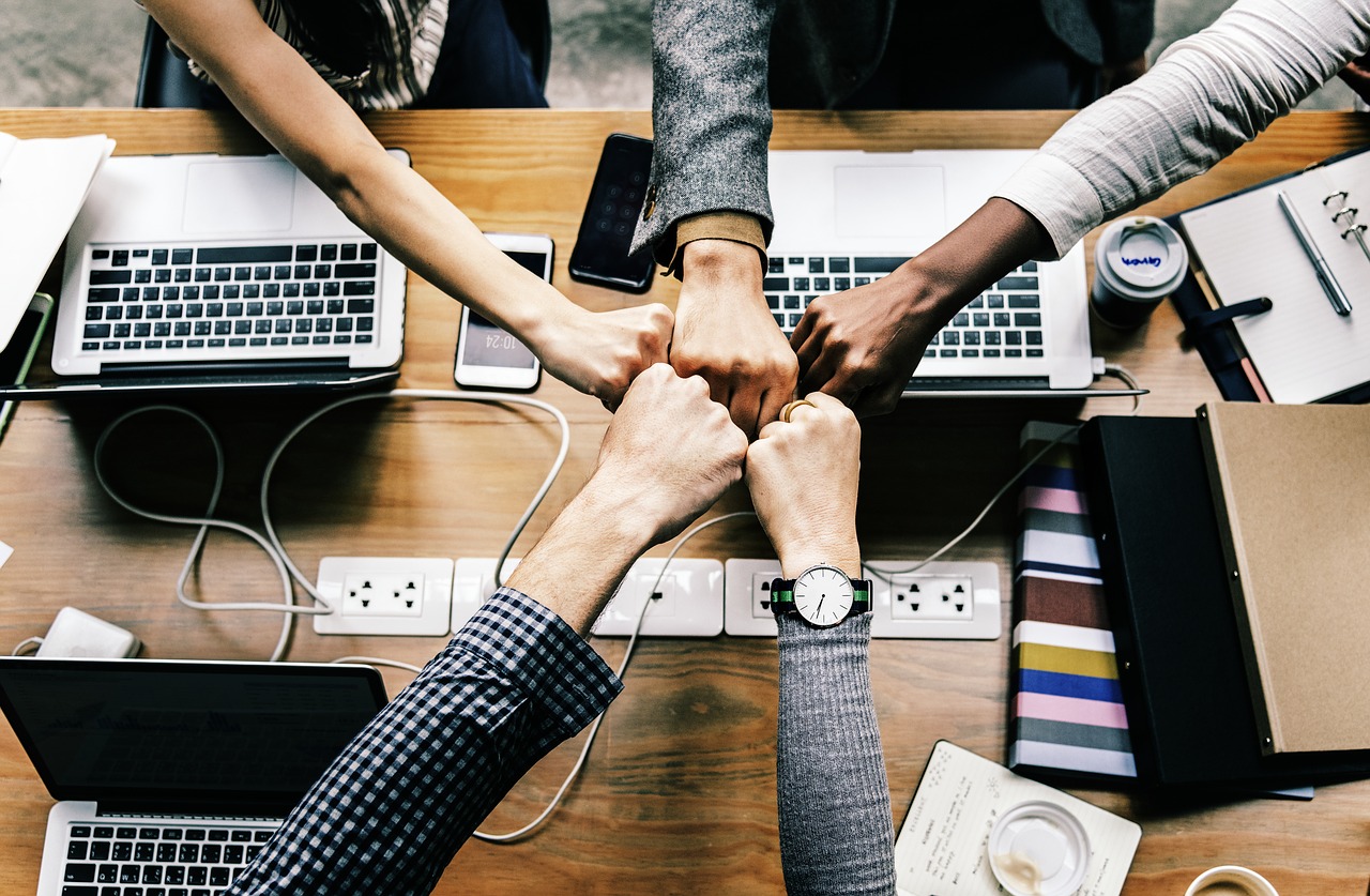 La fièvre des startups